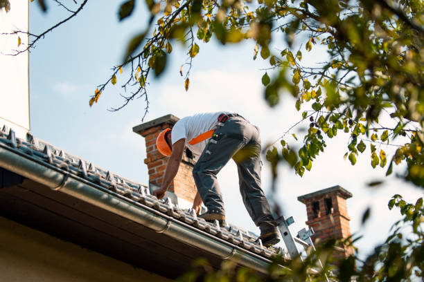 Best Storm Damage Roof Repair  in Tchula, MS