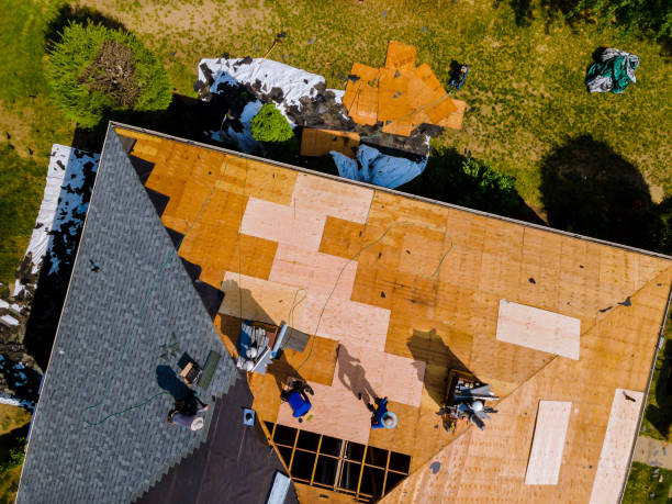 Best Roof Repair Specialists  in Tchula, MS