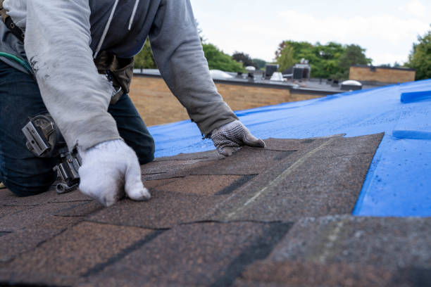 Best Roof Installation Near Me  in Tchula, MS
