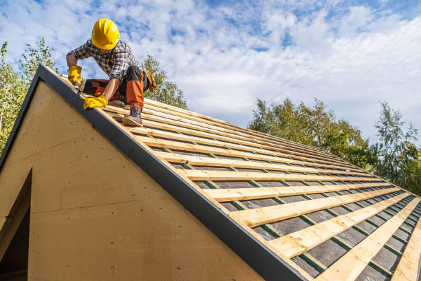 Best Shingle Roofing Installation  in Tchula, MS