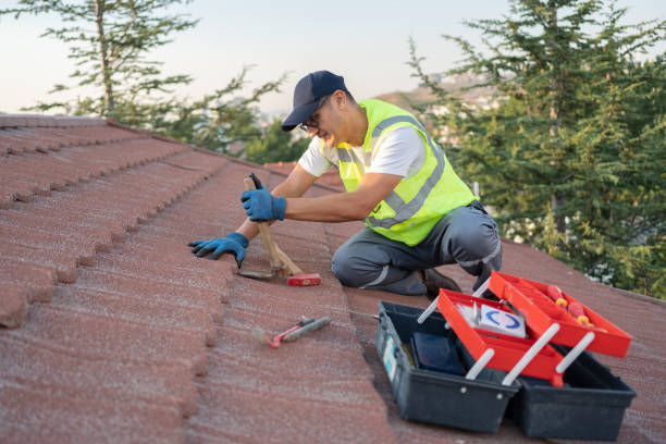Best Best Roofing Contractors  in Tchula, MS