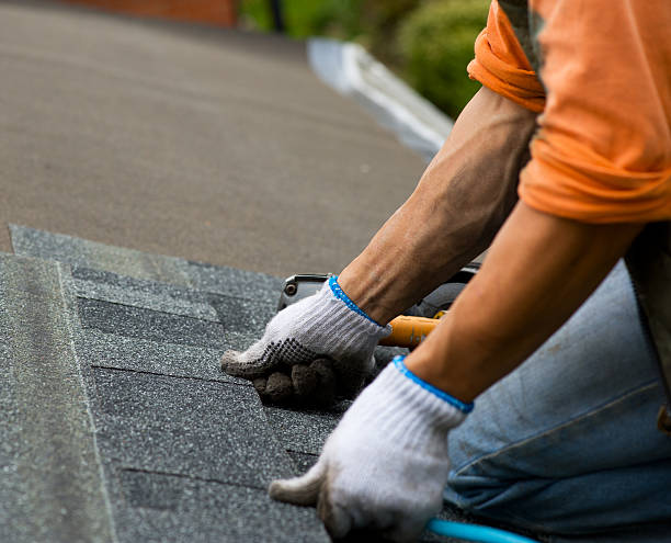 Best Emergency Roof Repair  in Tchula, MS
